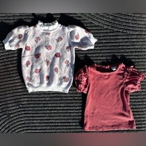Janie and Jack Sweater Top Bundle (2) Size 3 Cottagecore